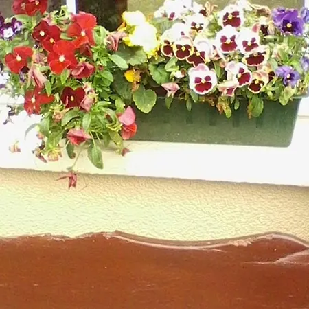 Gasthuis Glenview House *