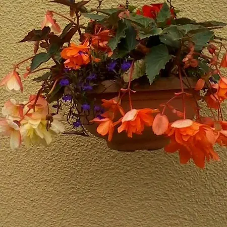 Glenview House * Ballinamore