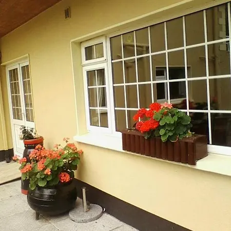 Πανσιόν Glenview House Ballinamore